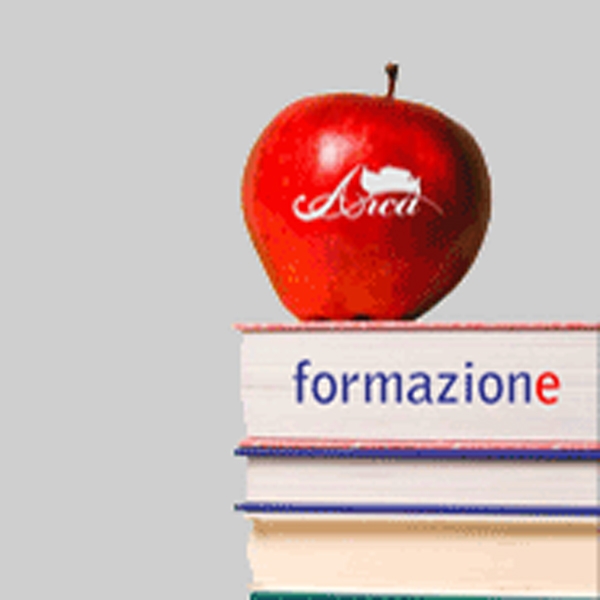 Arca formazione